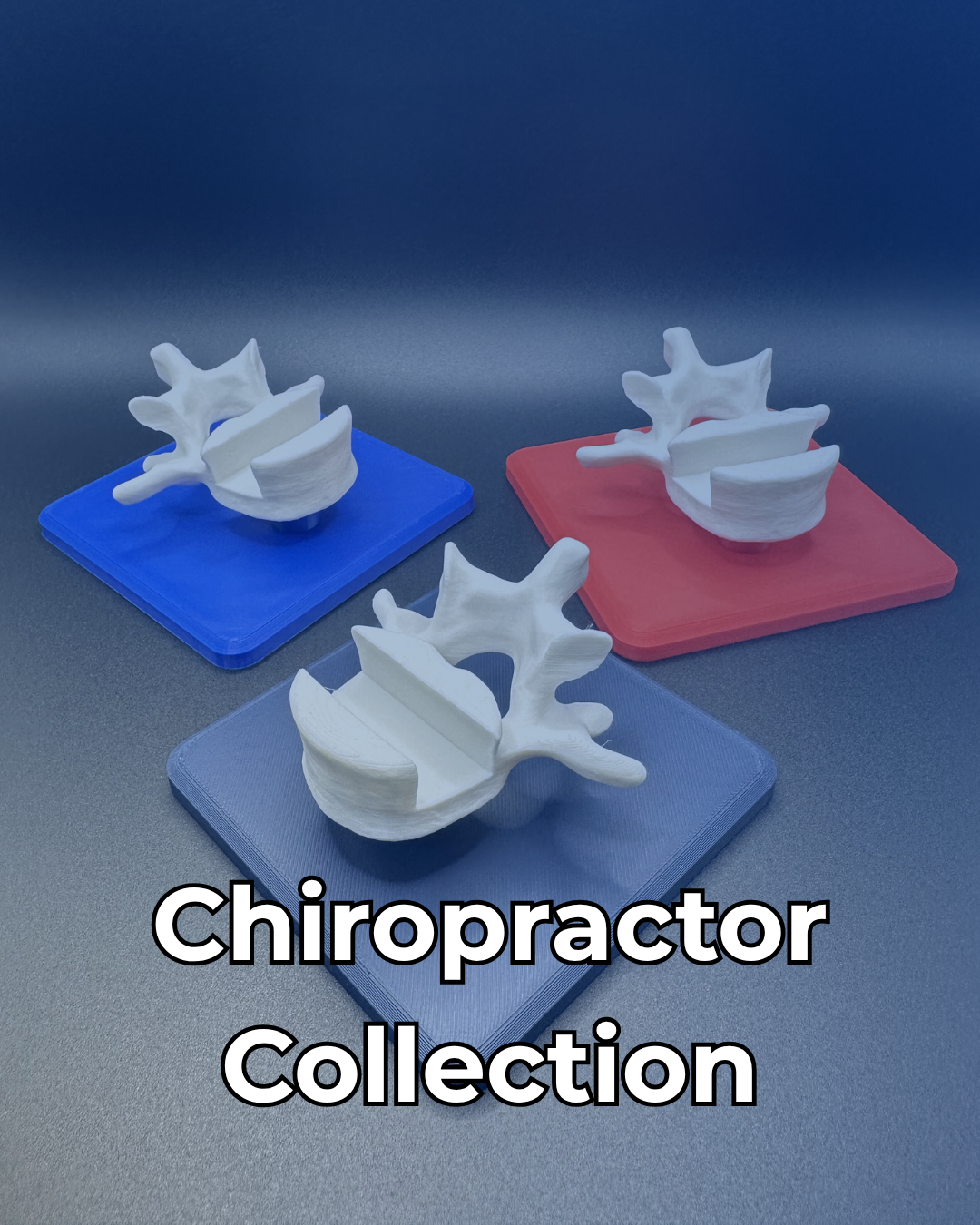Chiropractic Gifts Collection