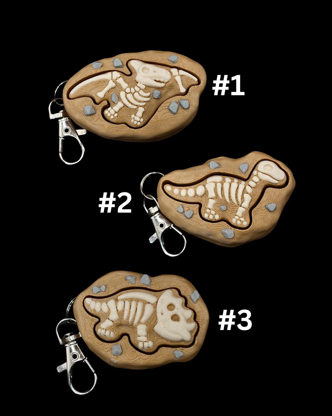 Dinosaur Fossil Clicker Fidgets!