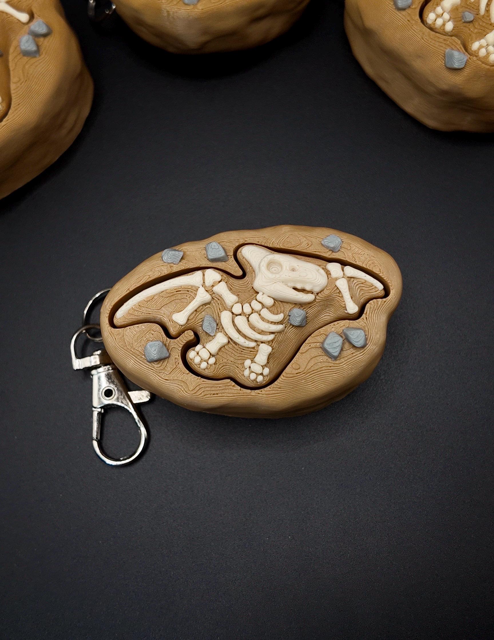 Dinosaur Fossil Clicker Fidgets!