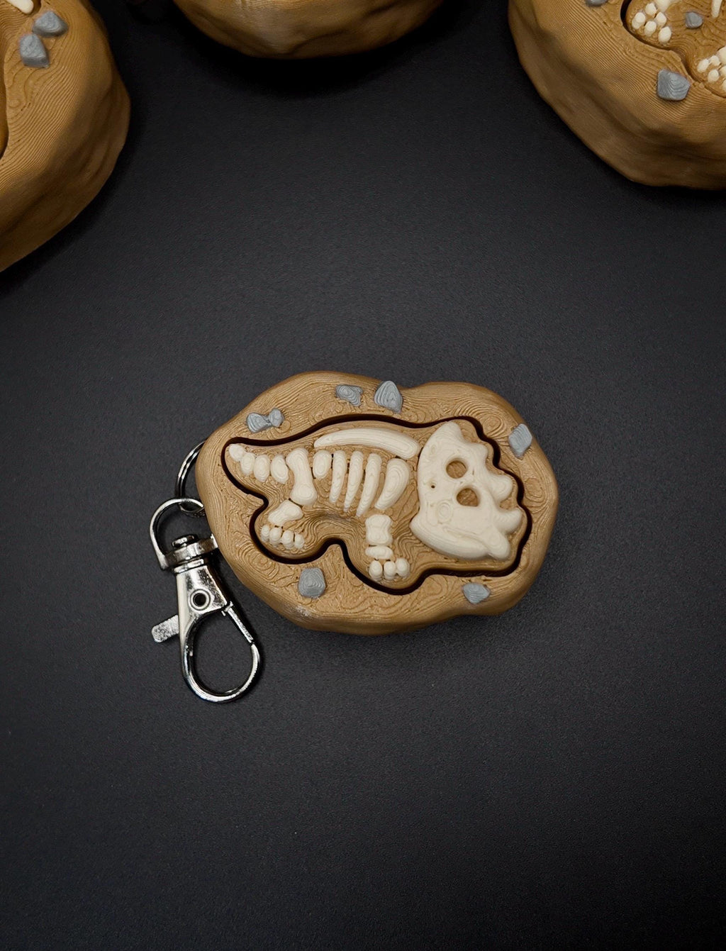 Dinosaur Fossil Clicker Fidgets!