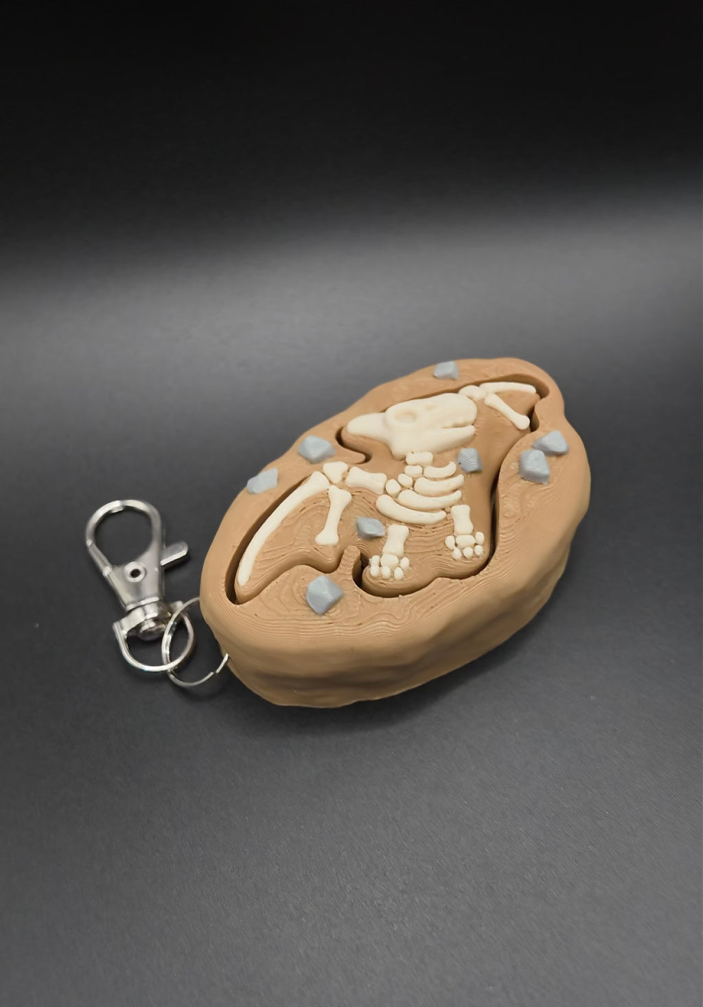 Dinosaur Fossil Clicker Fidgets!